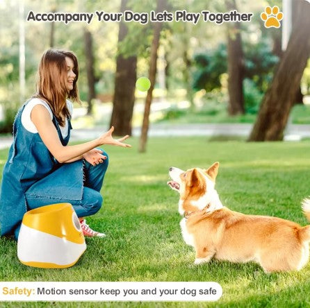 TAILOFJOY™ Automatic ball launcher