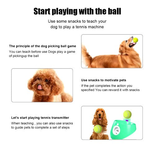TAILOFJOY™ Automatic ball launcher