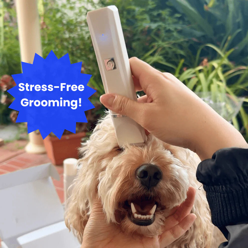 TailOfJoy™ GroomPro 4-in-1 Grooming kit