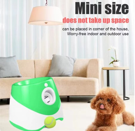 TAILOFJOY™ Automatic ball launcher