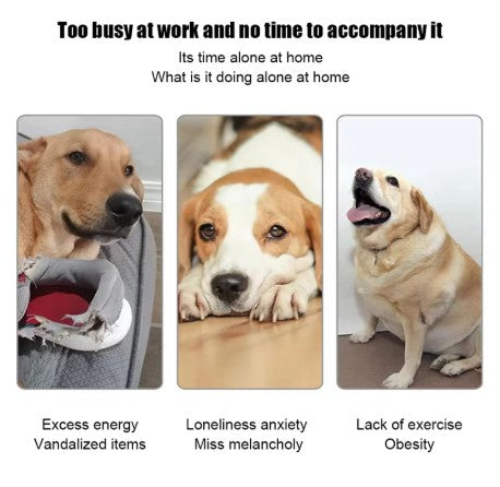 TAILOFJOY™ Automatic ball launcher
