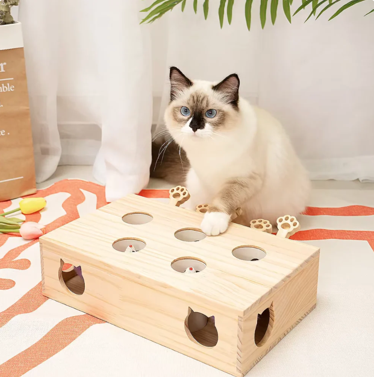 TAILOFJOY™ CAT PUNCH PLAY BOX