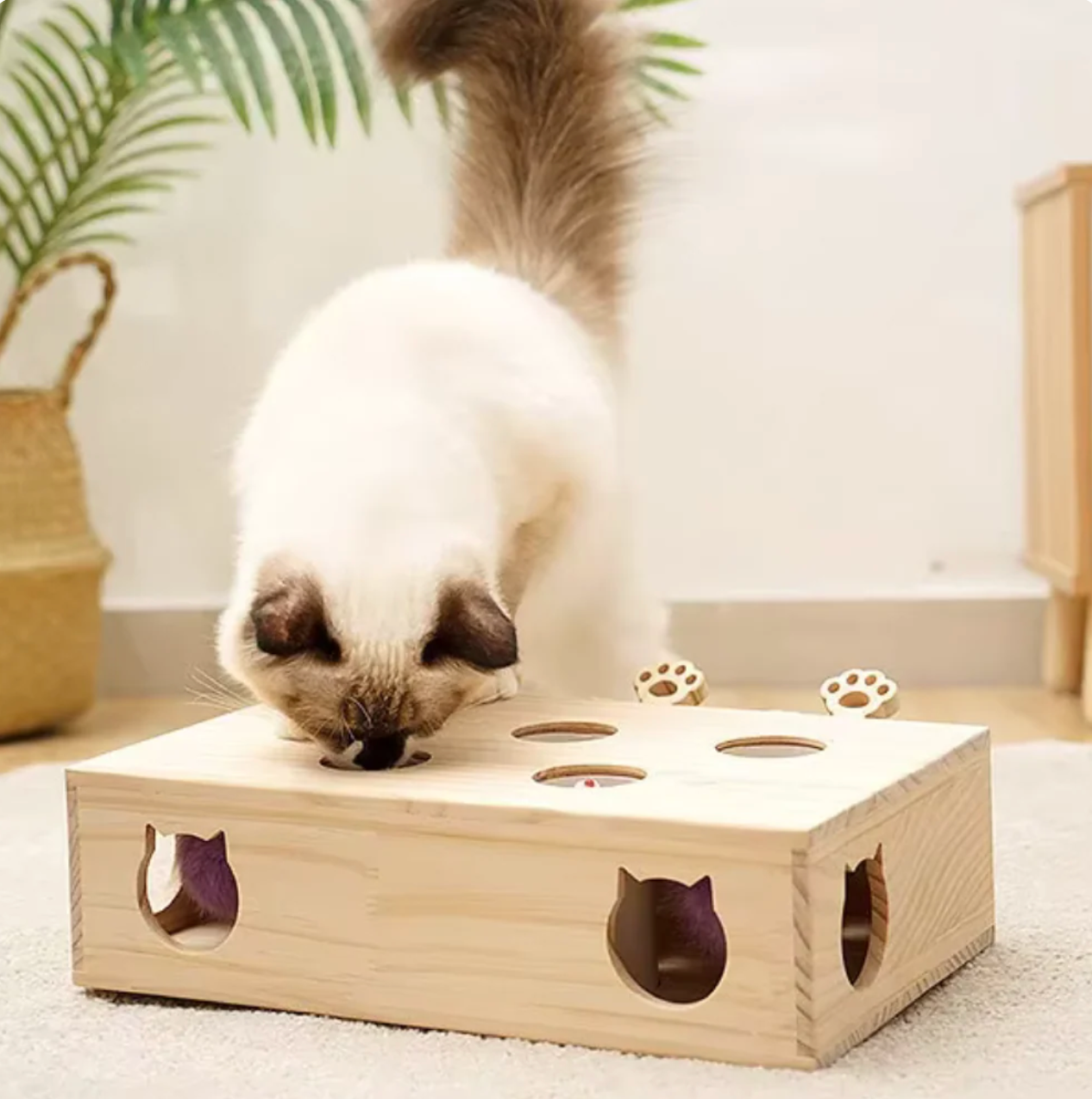 TAILOFJOY™ CAT PUNCH PLAY BOX