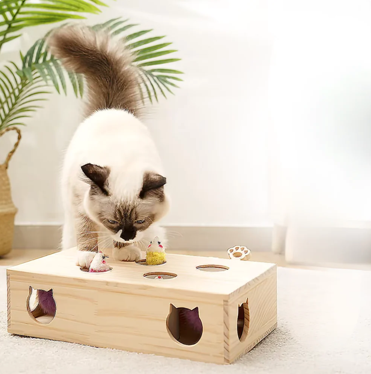 TAILOFJOY™ CAT PUNCH PLAY BOX