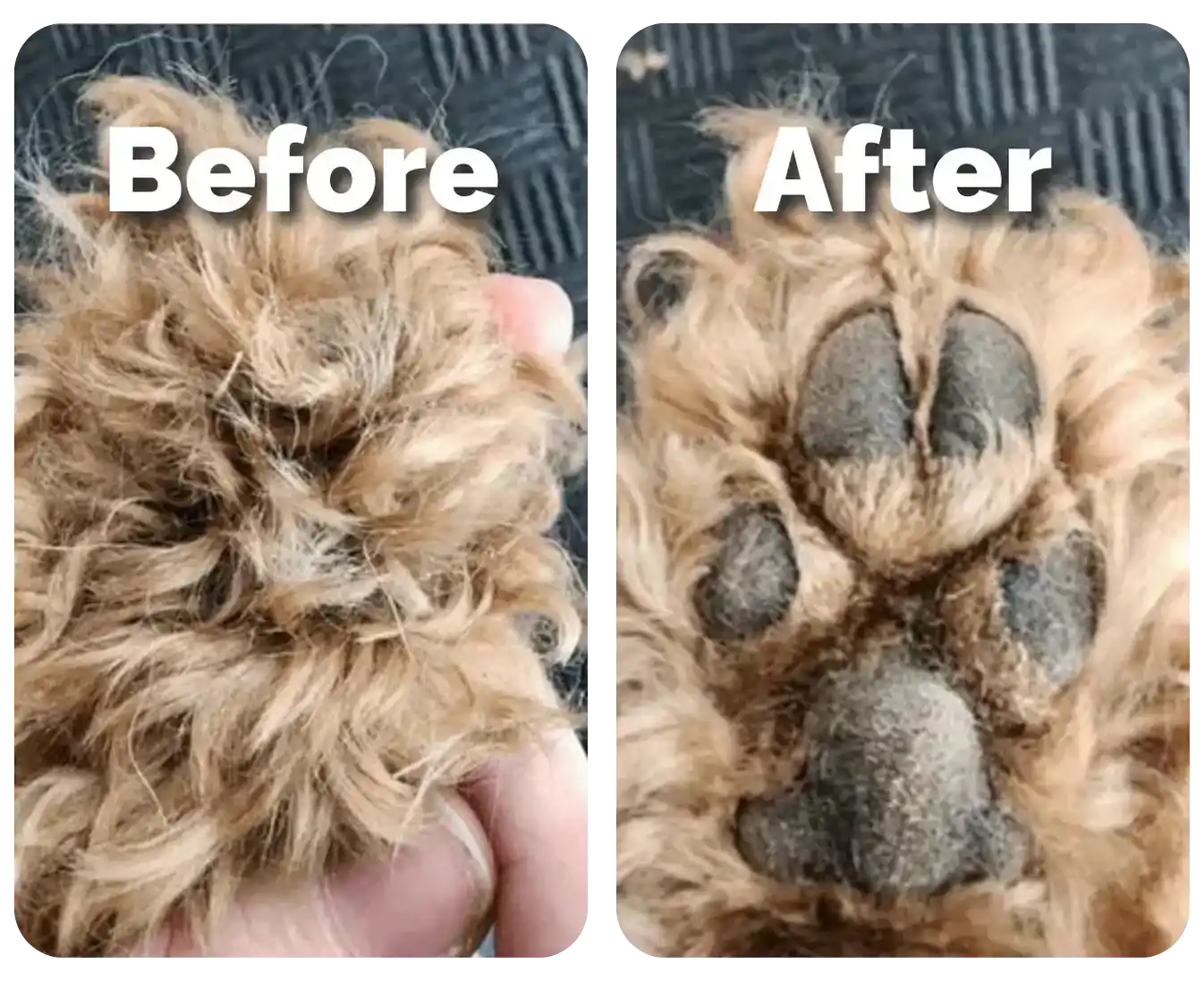 TAILOFJOY™ Pet Hair/Fur trimmer for Dogs and Cats (For Sensitive Pets)