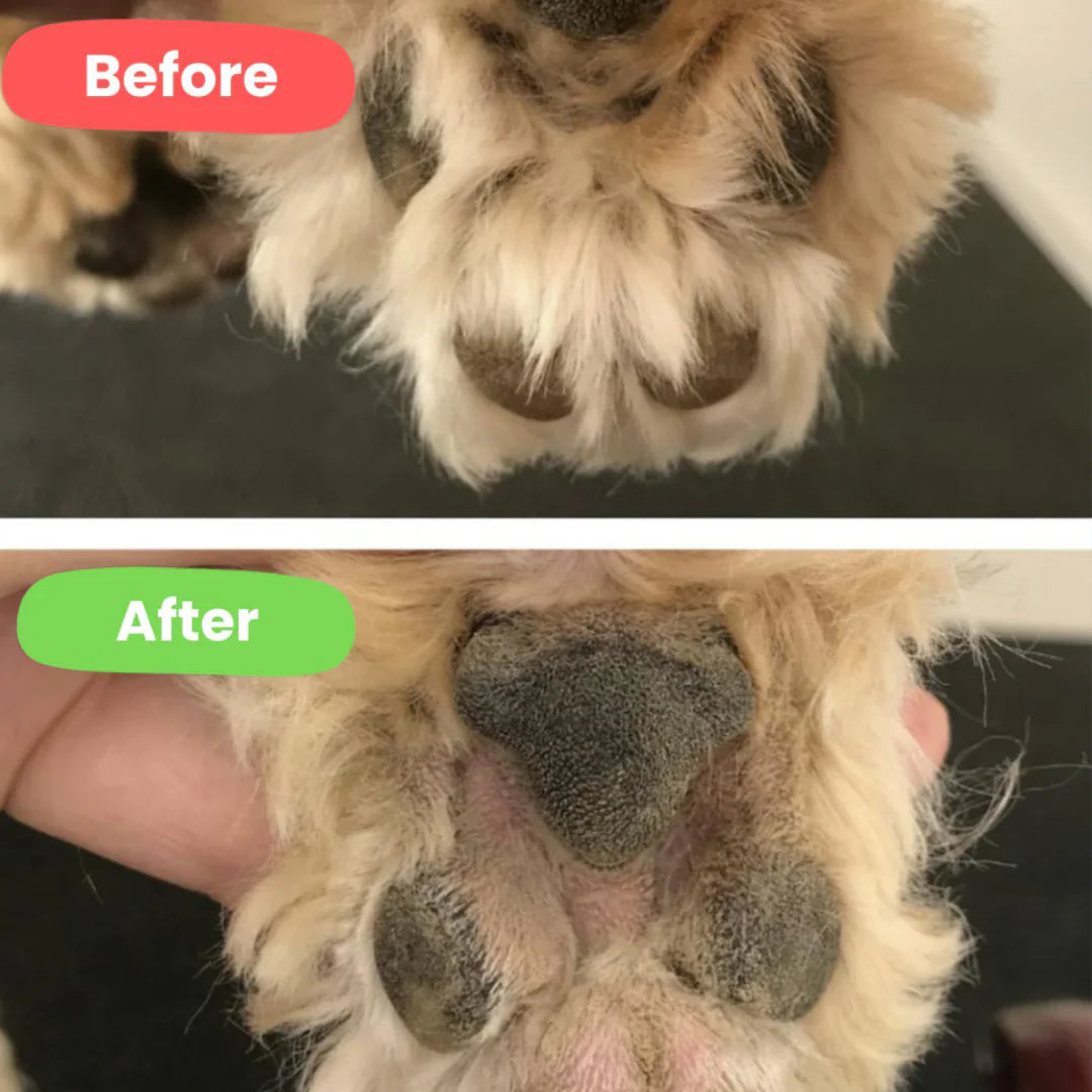 TailOfJoy™ GroomPro 4-in-1 Grooming kit