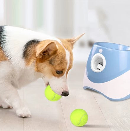 TAILOFJOY™ Automatic ball launcher