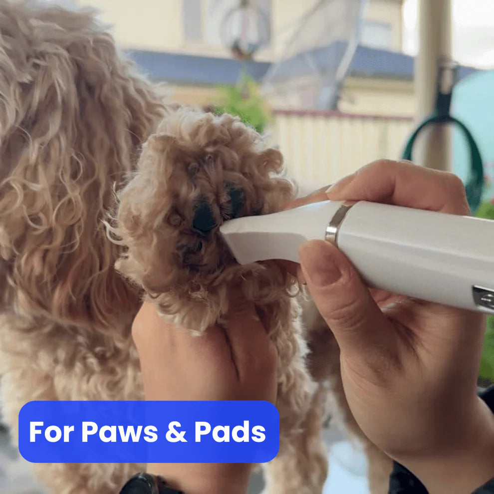 TailOfJoy™ GroomPro 4-in-1 Grooming kit