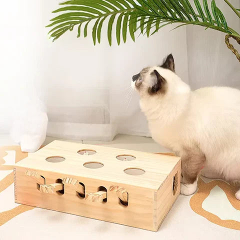 TAILOFJOY™ CAT PUNCH PLAY BOX