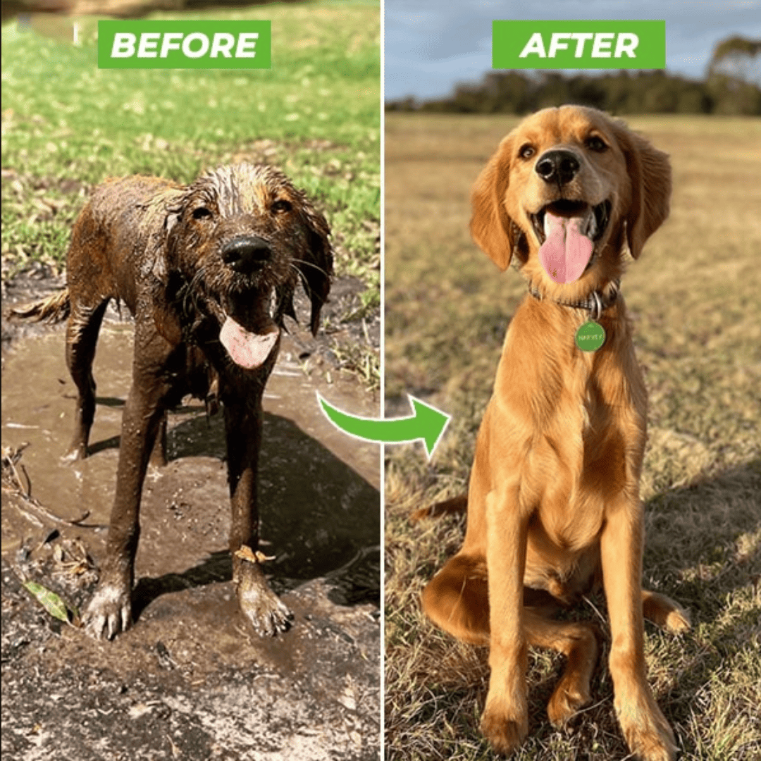 TAILOFJOY™ Dog Washer Attachment