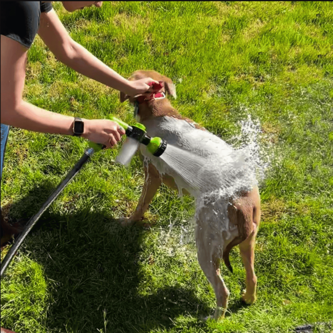 TAILOFJOY™ Dog Washer Attachment