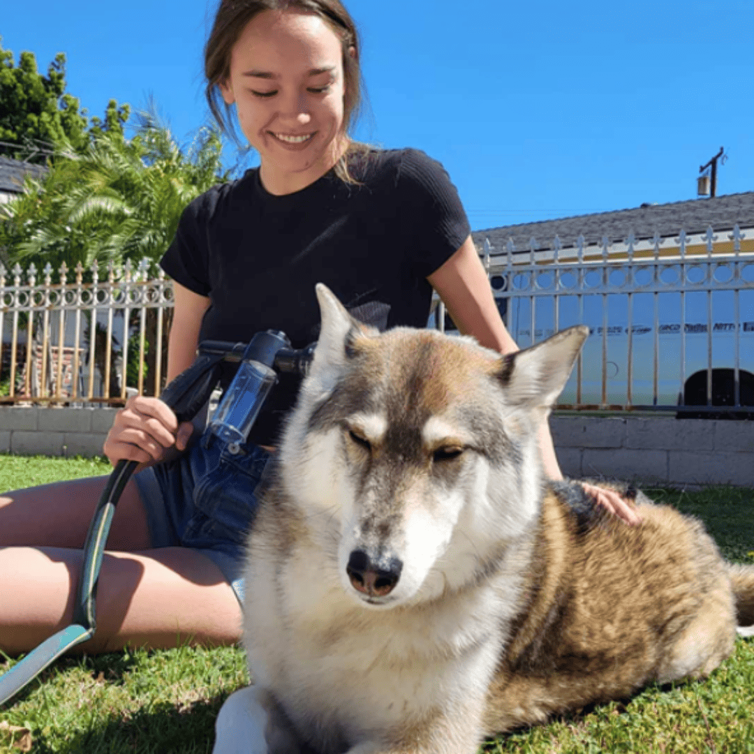 TAILOFJOY™ Dog Washer Attachment