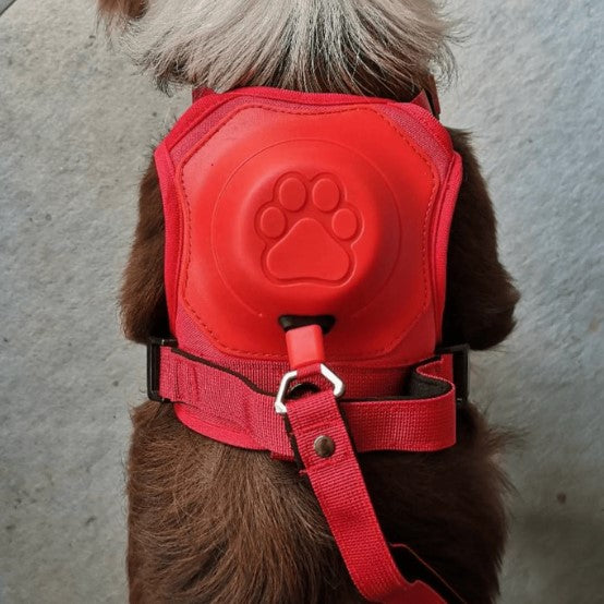 TAILOFJOY™ 3 in 1 Dog Harness with Built-In Leash