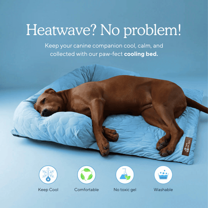 TAILOFJOY™ Cooling Bed