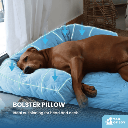 TAILOFJOY™ Cooling Bed