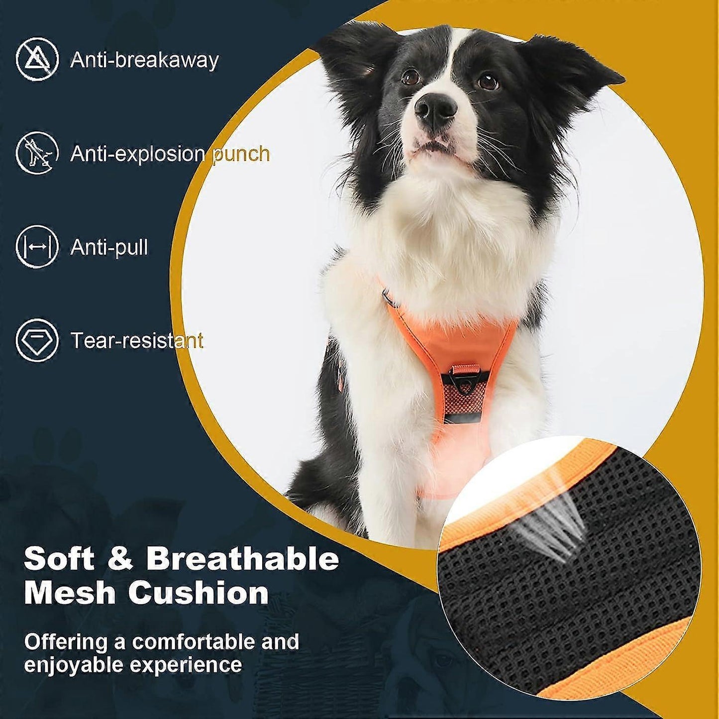 TAILOFJOY™ 3 in 1 Dog Harness with Built-In Leash