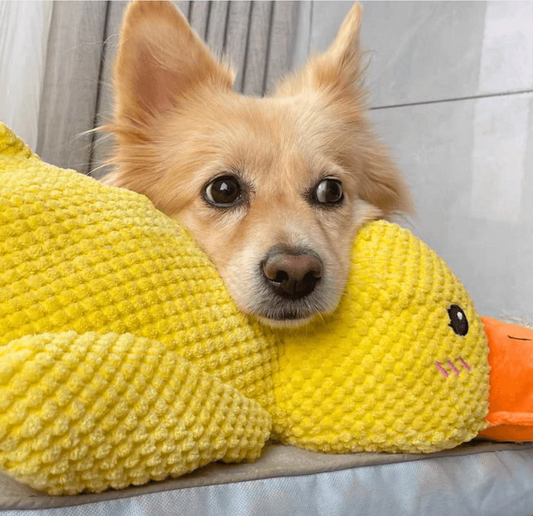 TAILOFJOY™ Calming Duck Toy
