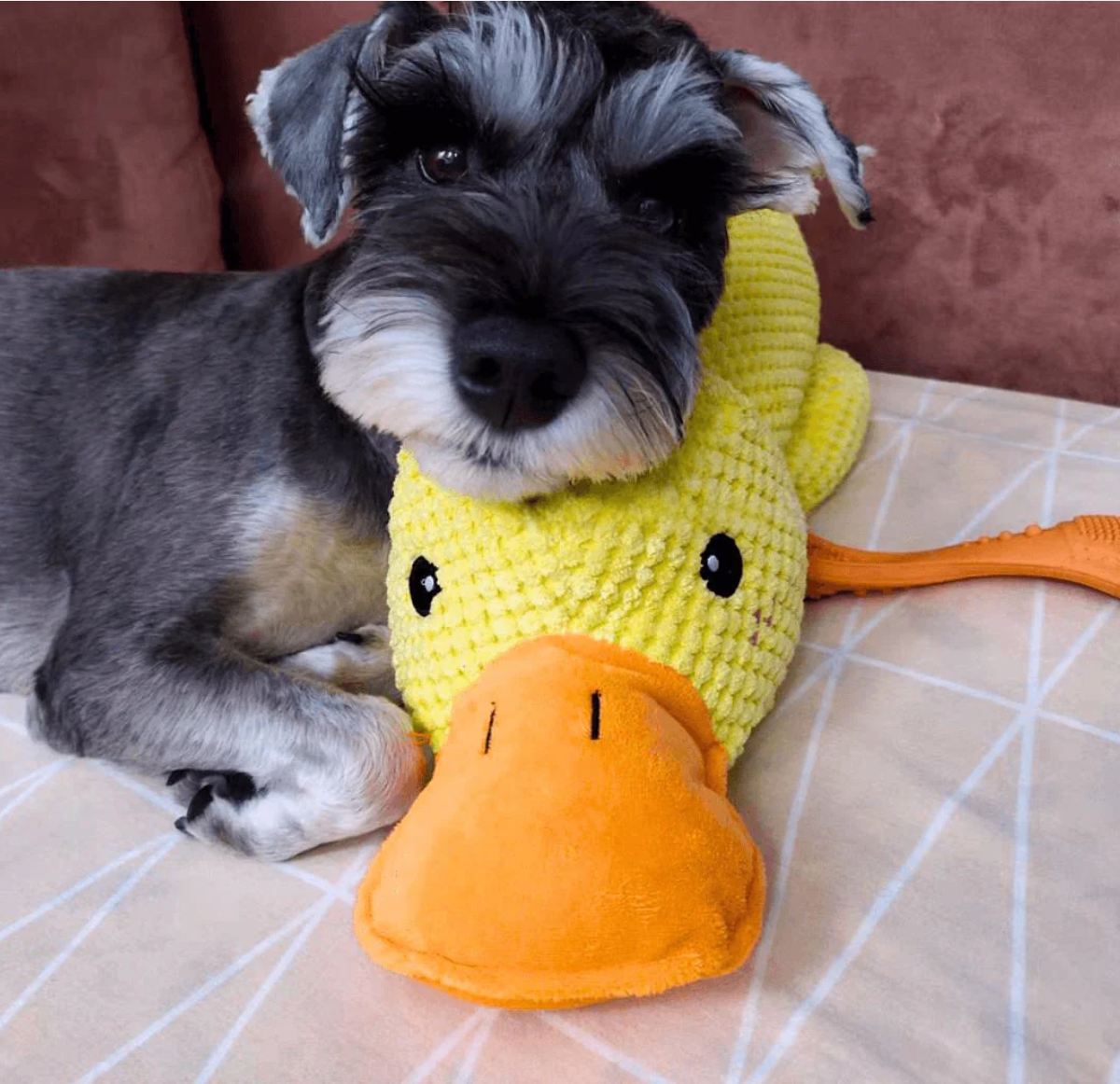 TAILOFJOY™ Calming Duck Toy