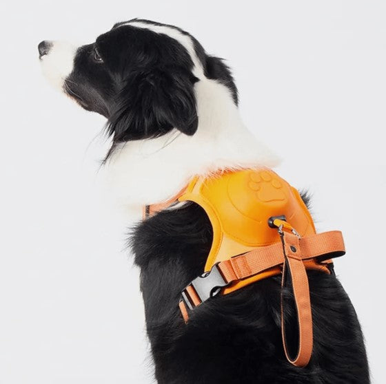 TAILOFJOY™ 3 in 1 Dog Harness with Built-In Leash