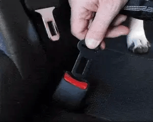 TAILOFJOY™ Dog Car Seat Belt