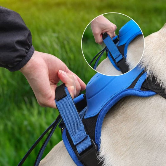 TAILOFJOY™ 3 in 1 Dog Harness with Built-In Leash