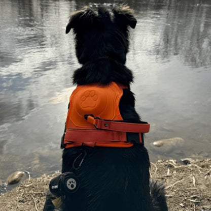 TAILOFJOY™ 3 in 1 Dog Harness with Built-In Leash