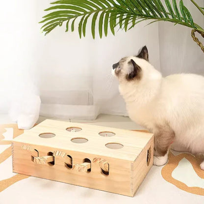 TAILOFJOY™ CAT PUNCH PLAY BOX