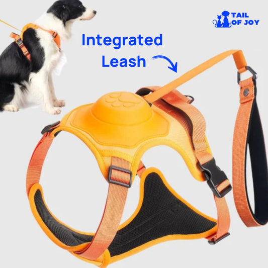 TAILOFJOY™ 3 in 1 Dog Harness with Built-In Leash