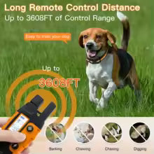 TAILOFJOY™ Dog Training Collar with Remote Control 3300FT-RS2