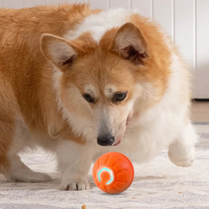 TAILOFJOY™ Smart Toy Ball