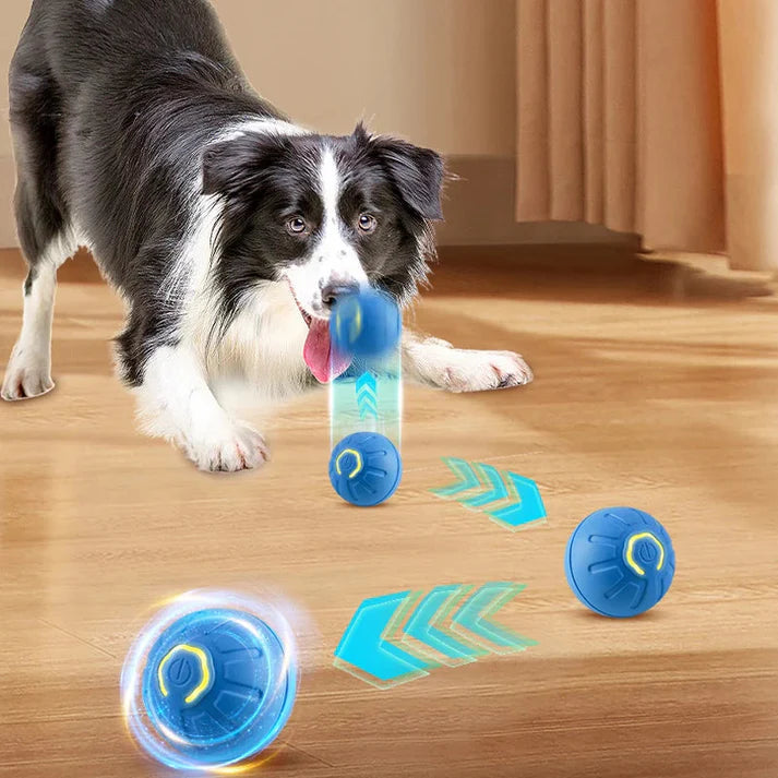 TAILOFJOY™ Smart Toy Ball