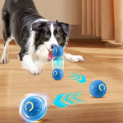 TAILOFJOY™ Smart Toy Ball