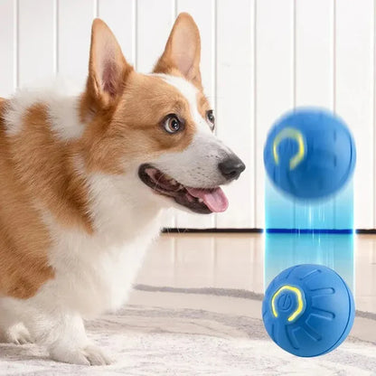 TAILOFJOY™ Smart Toy Ball