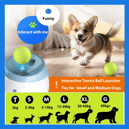 TAILOFJOY™ Automatic ball launcher