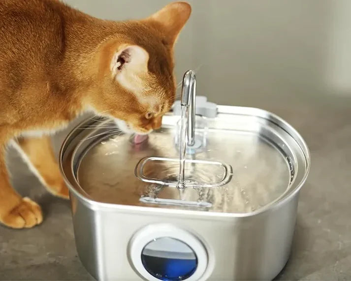 TAILOFJOY™ Pet Water Fountain