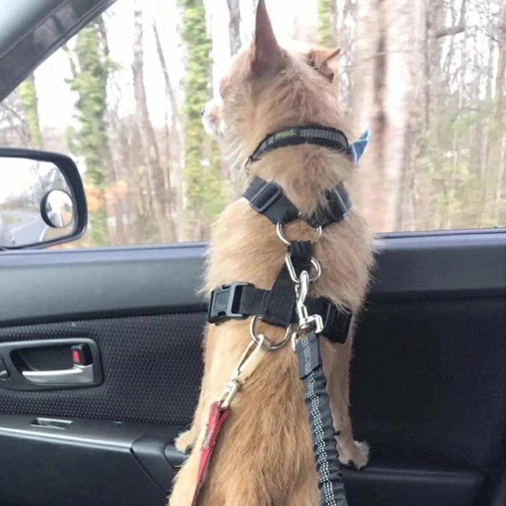 TAILOFJOY™ Dog Car Seat Belt